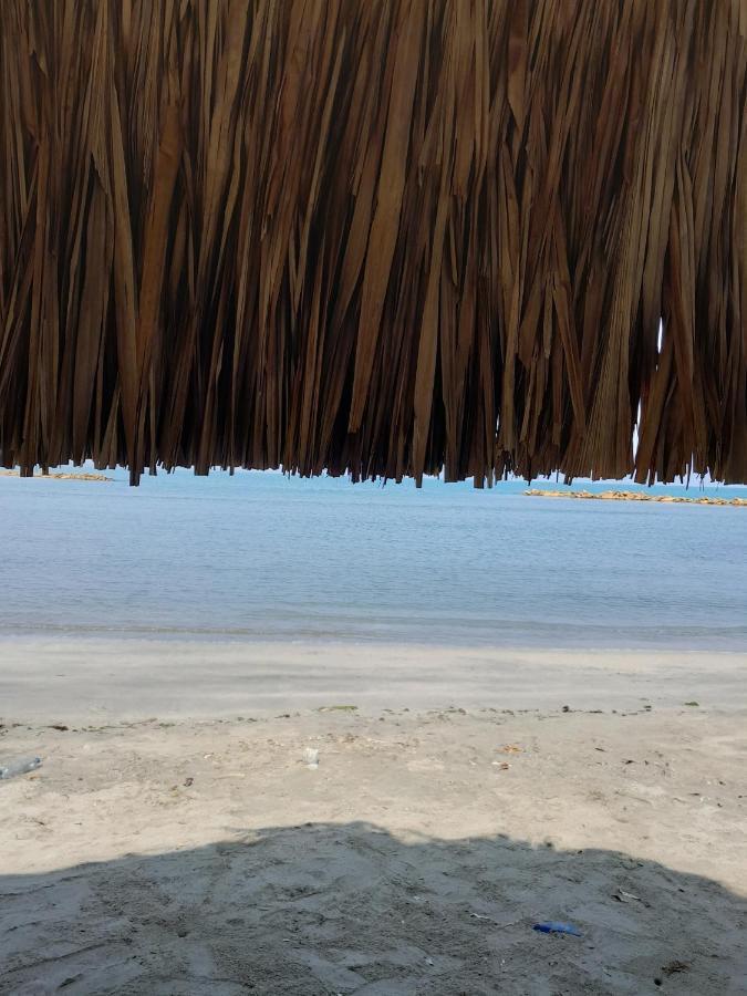 Playa Mag *