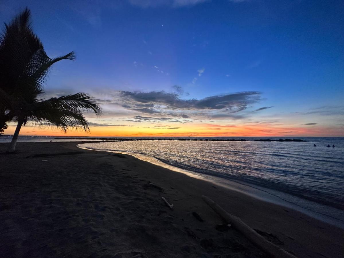 Caribbean Vacation Apartamento *