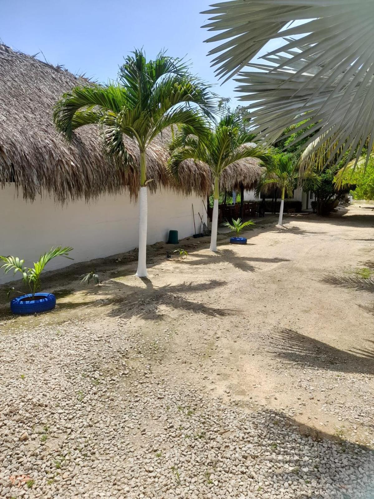 Cabanas Del Caribe La Bonga Hostel