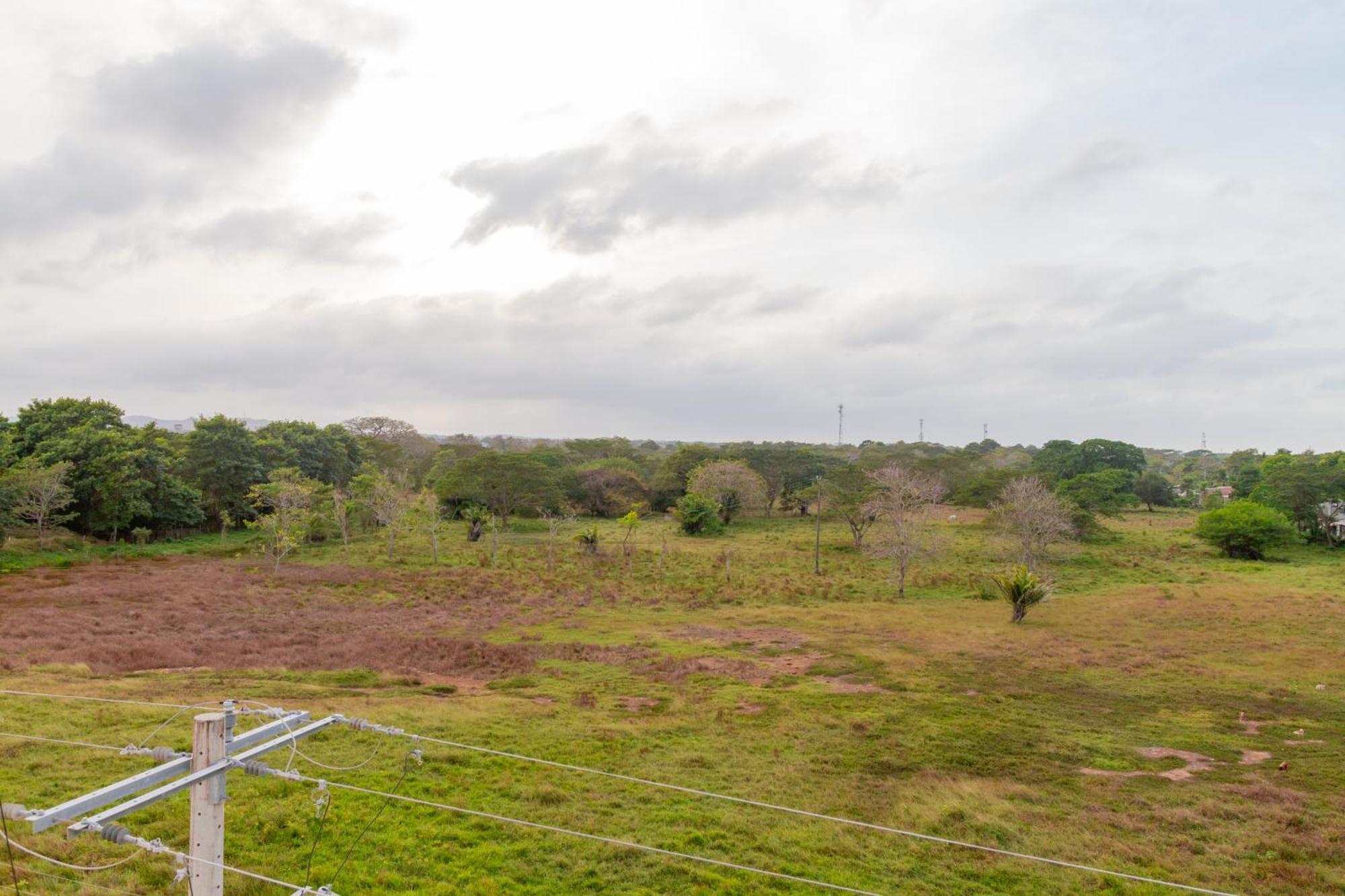 Raices Caribenas, En Apartamento *