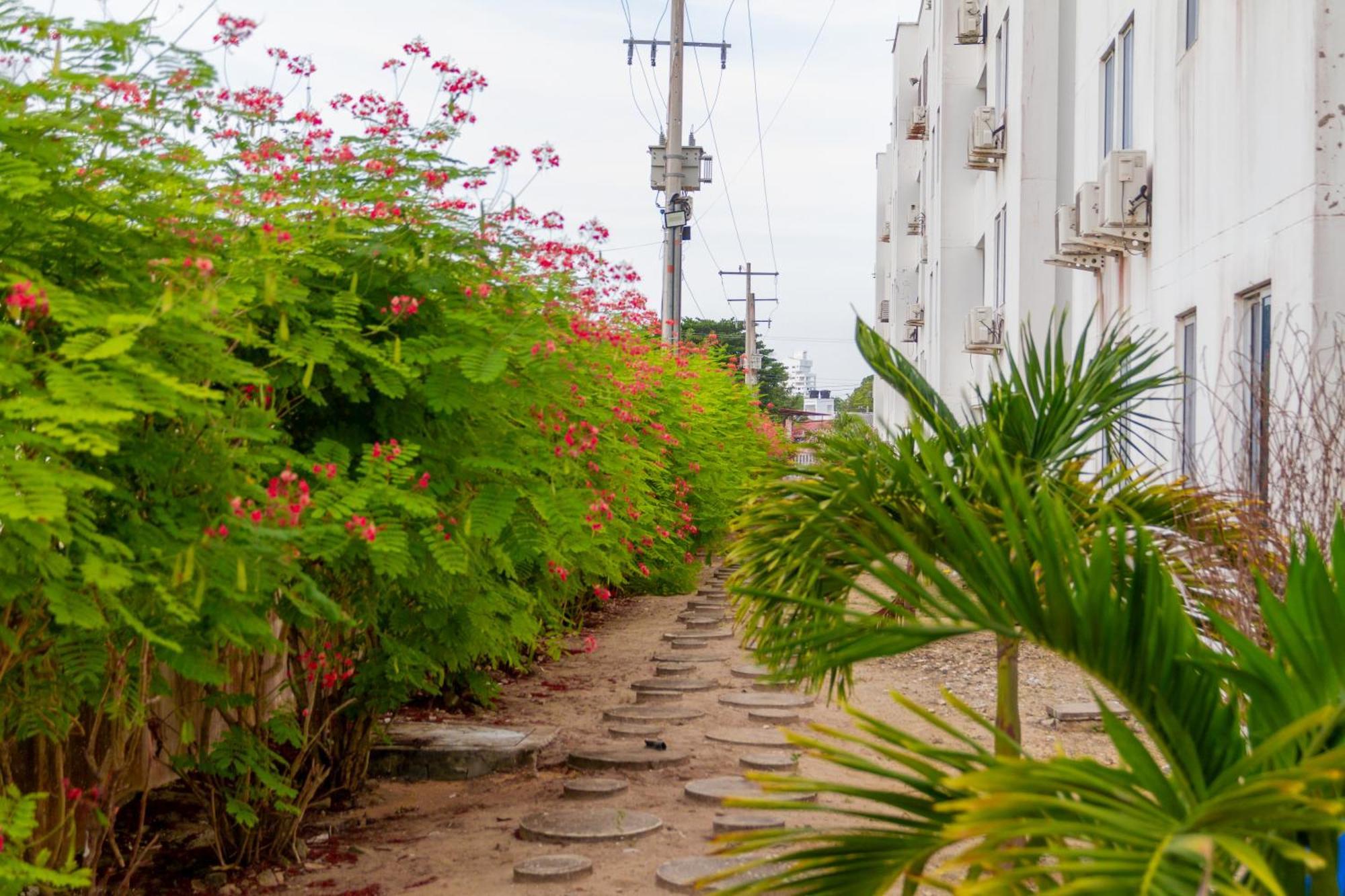 Raices Caribenas, En Apartamento *