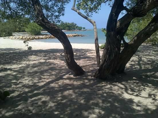 Apartahotel Gualdimar *
